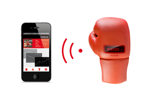 Puncho Boxing Glove - 2014